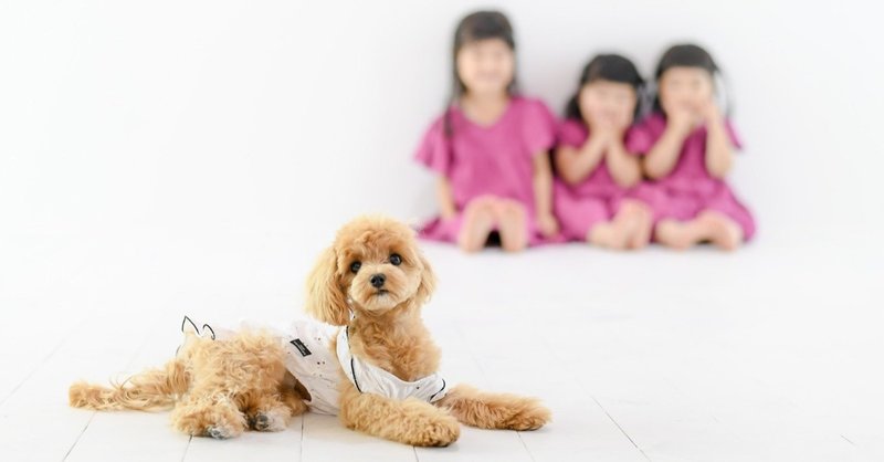 犬のいる暮らし 3姉妹育児日記 岩下 尚義 Note