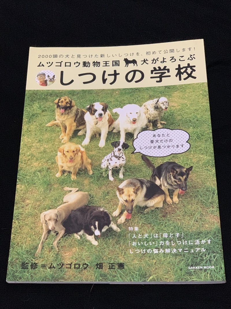 自己紹介 Profile きょうた Note 自己紹介 Profile きょうた Note