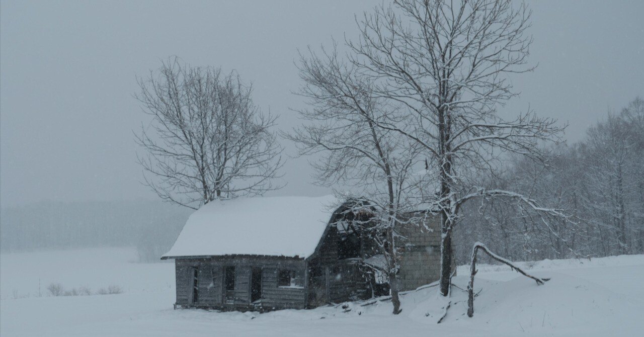 マルセル・プルースト伝記 上下 マルセル・プルースト伝記 上下 マルセル・プルースト : 伝記 上下揃