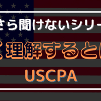 USCPA合格体験記】7ヶ月・750時間で得た真理、全部書きます