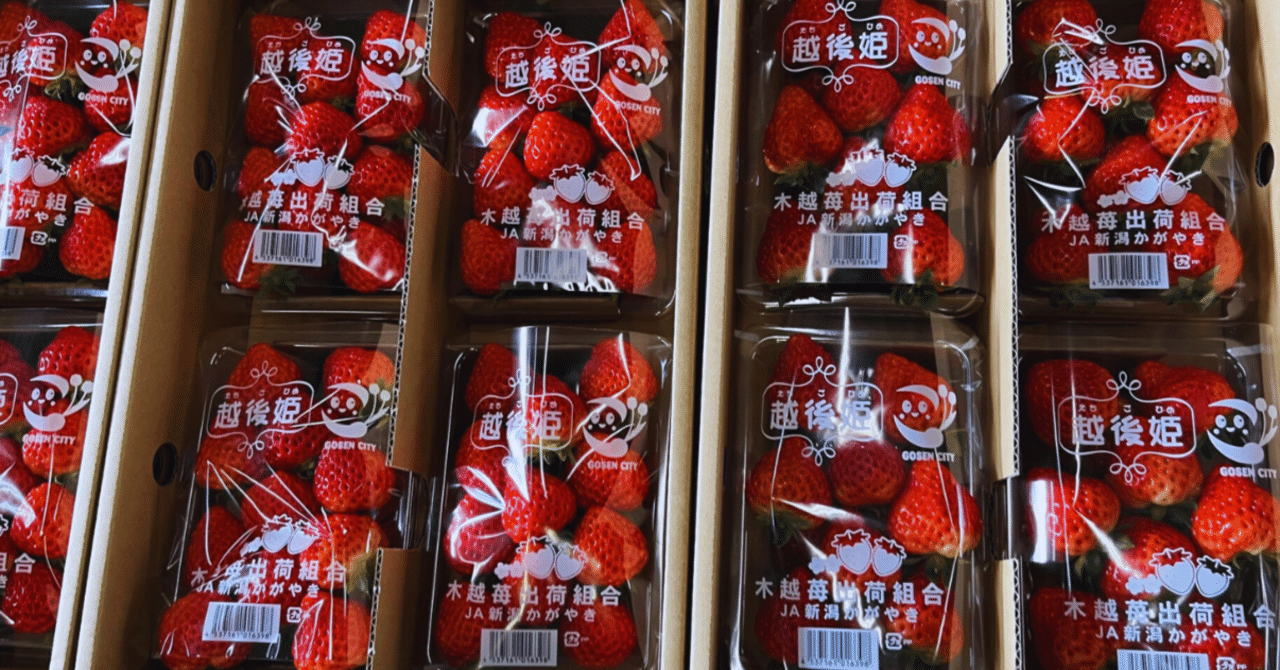 越後姫の出荷が始まっています！～可憐でみずみずしい新潟の