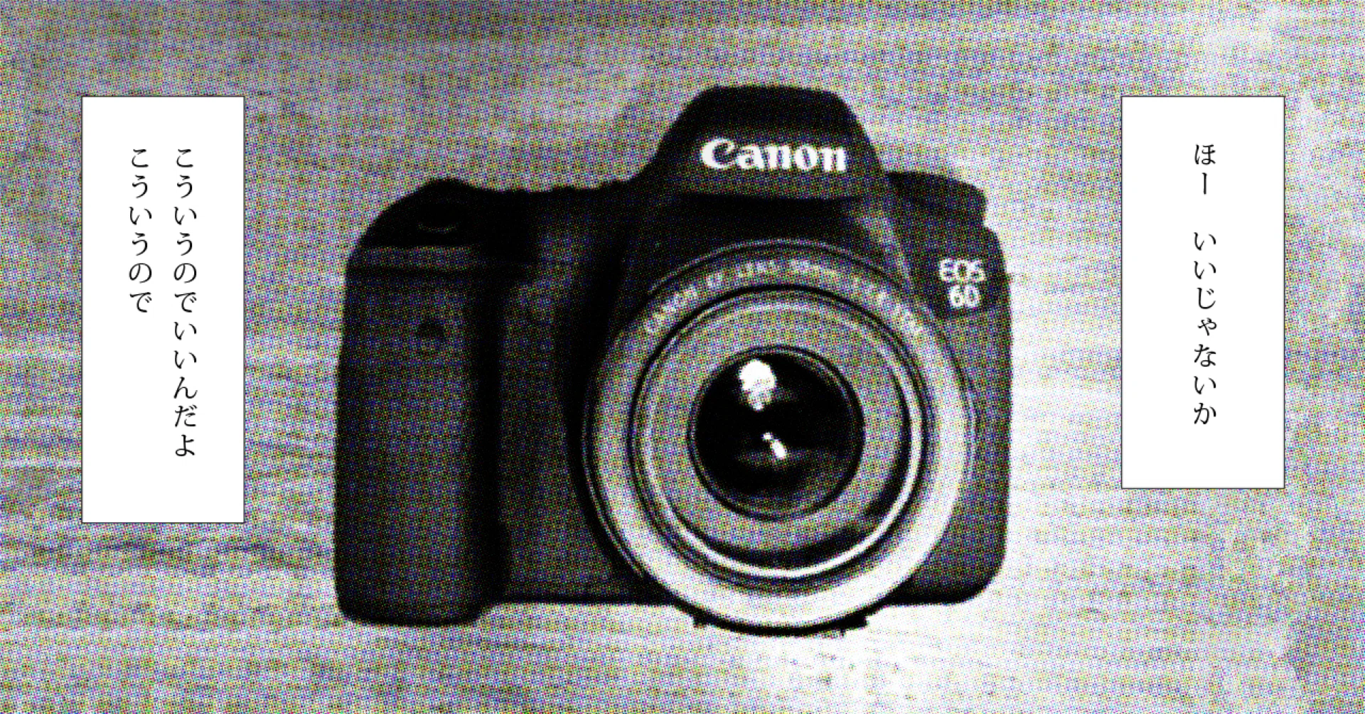 CANON 6Dがちょうどよくておすすめな話|鮎 CANON 6Dがちょうどよくておすすめな話|鮎