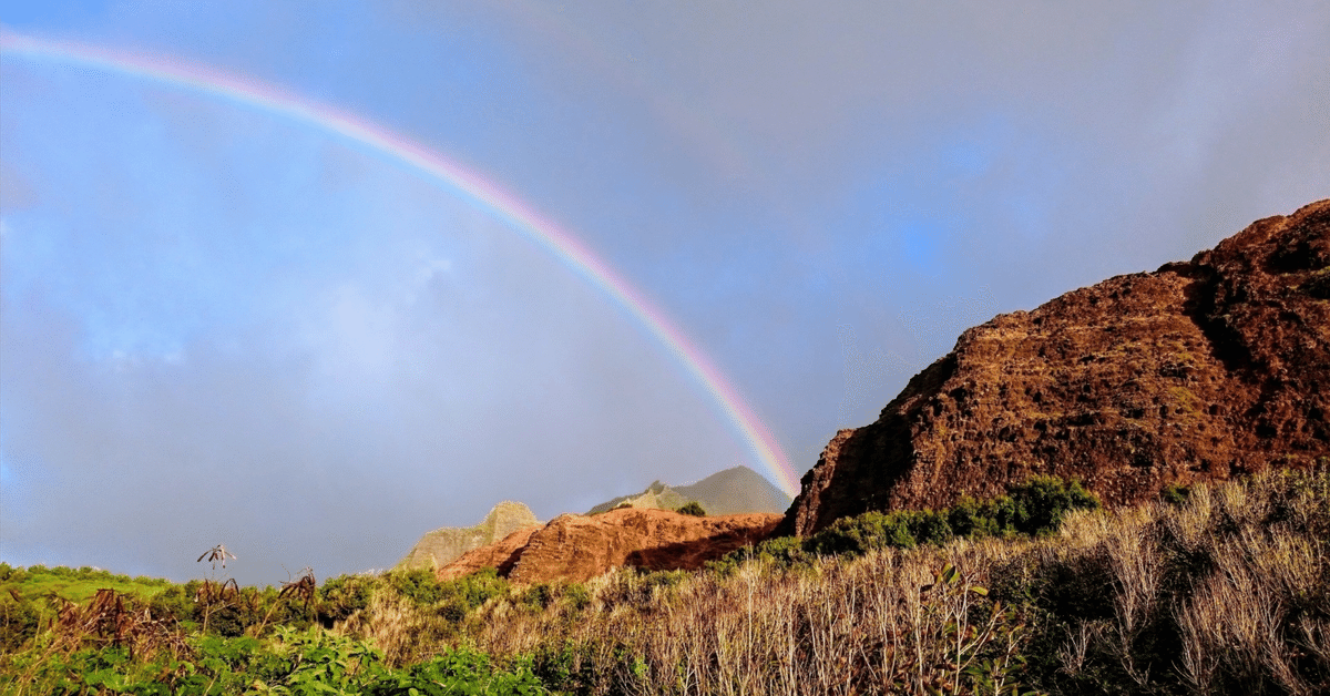 Words of Zen 禅語（7） 知足（ちそく） ｜mah