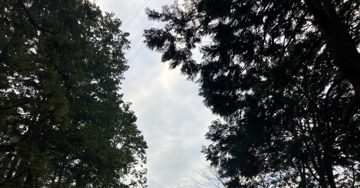 2024/2/24夜キャンプ｜hana 