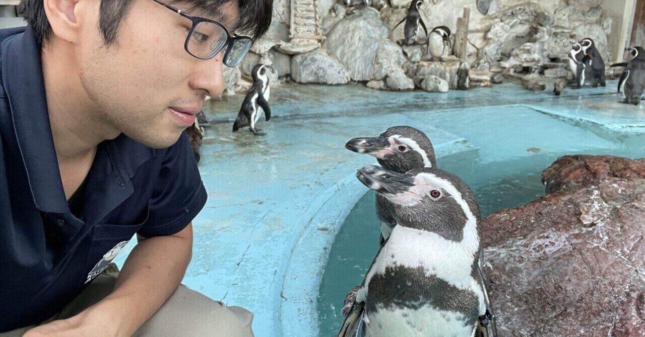 ペンギンたちの見分け方｜桂浜水族館 公式
