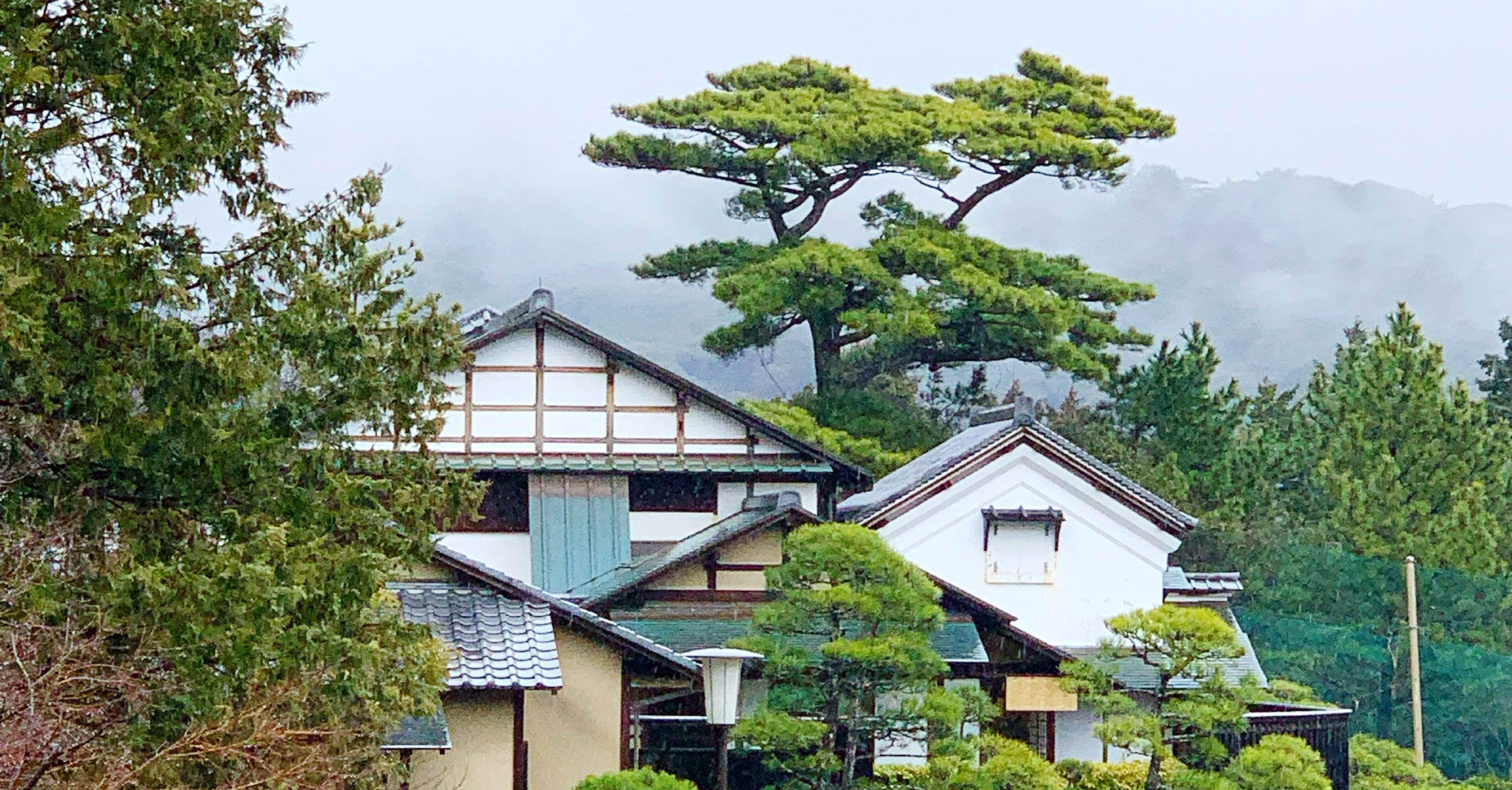 写しではない！千利休作！？雪の中のお茶会は凄過ぎました！』｜植村なおみ