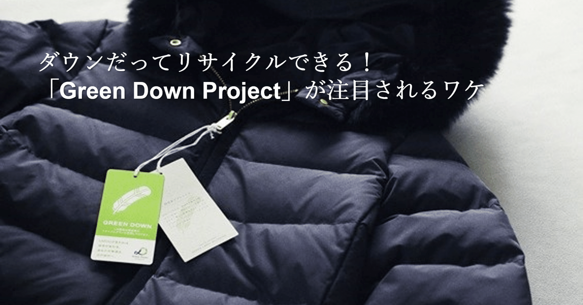 ダウンだってリサイクルできる！「Green Down Project」が注目される