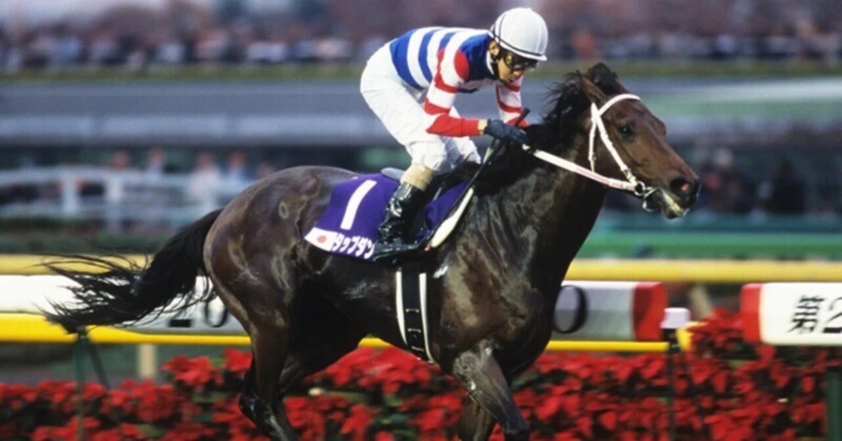 GⅡ金鯱賞｜タイツ・競馬ライター【無料予想と馬のお話】