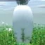 おじゃ