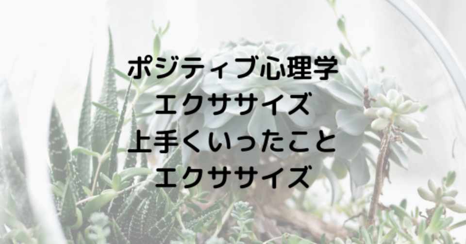 ポジティブ心理学エクササイズ 上手くいったことエクササイズ 皮肉屋 Note
