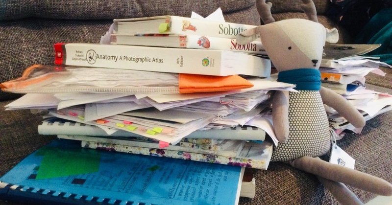 2年1学期 ハンガリー国立デブレツェン大学医学部医学科 ねむるこ ハンガリーの医学生 Note