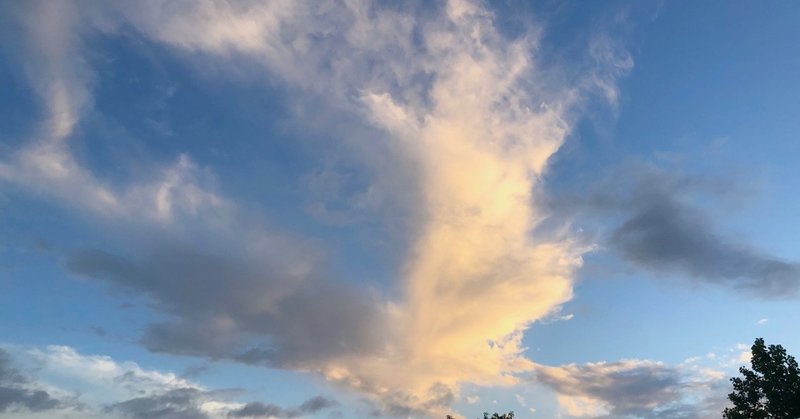 何目指してるの って言われるコトについて はりぃ Note