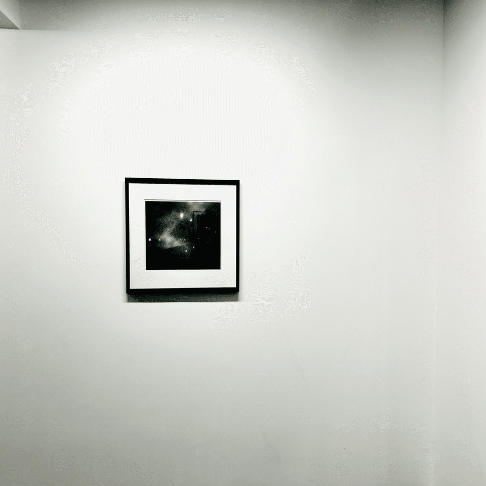 森山大道展「TOKYO」の圧倒的な生とにおい｜くま