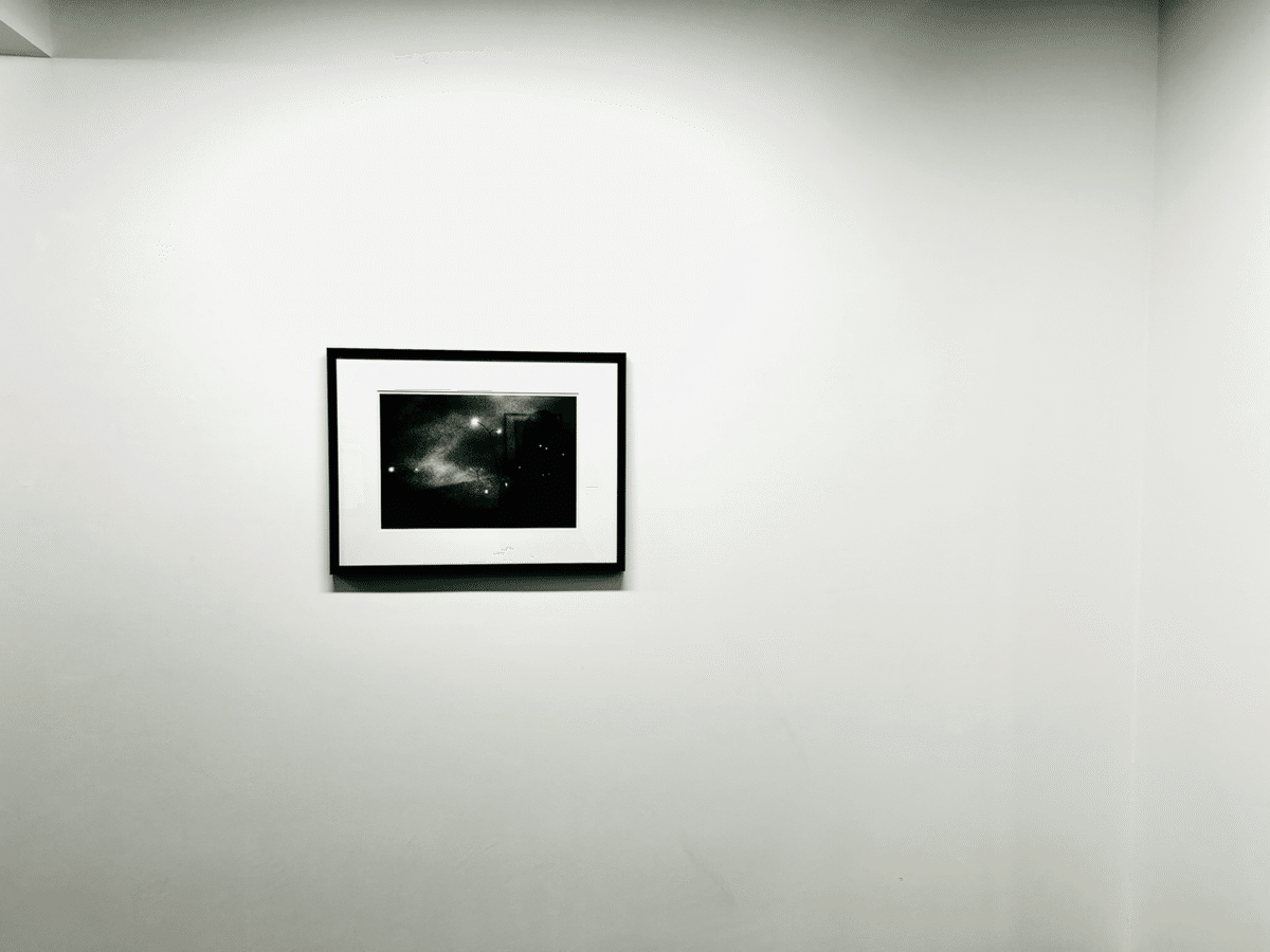 森山大道展「TOKYO」の圧倒的な生とにおい｜くま