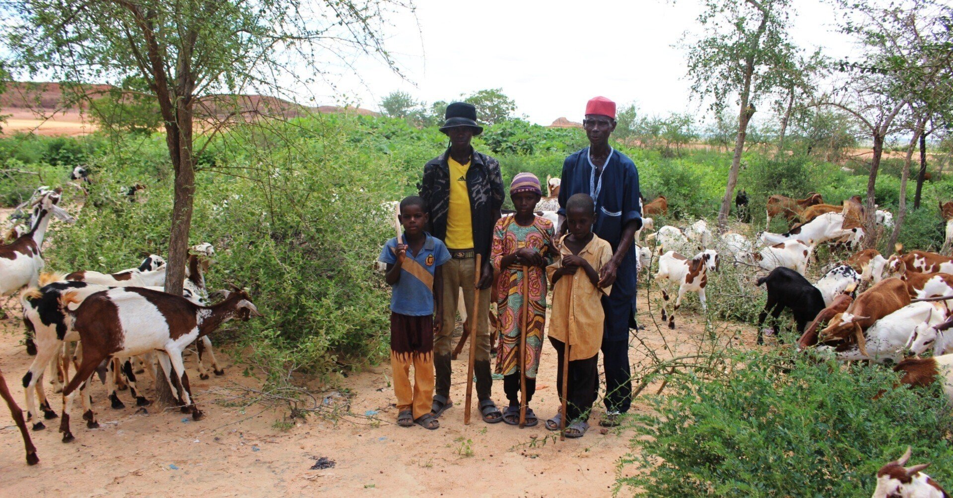 定番人気，100%新品 西アフリカ・サヘルの砂漠化に挑む?ごみ活用による