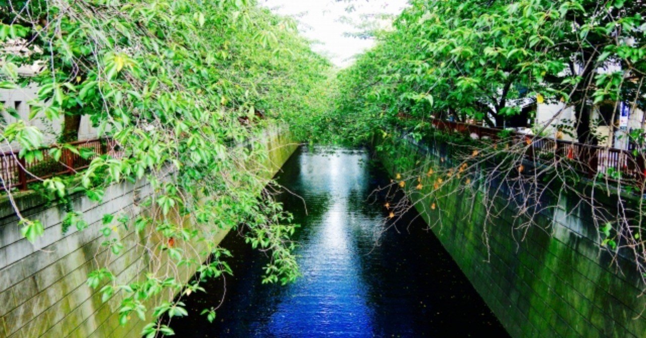 第37回 川の沿いに住んだ僕は背中を痛めた まるこす Note