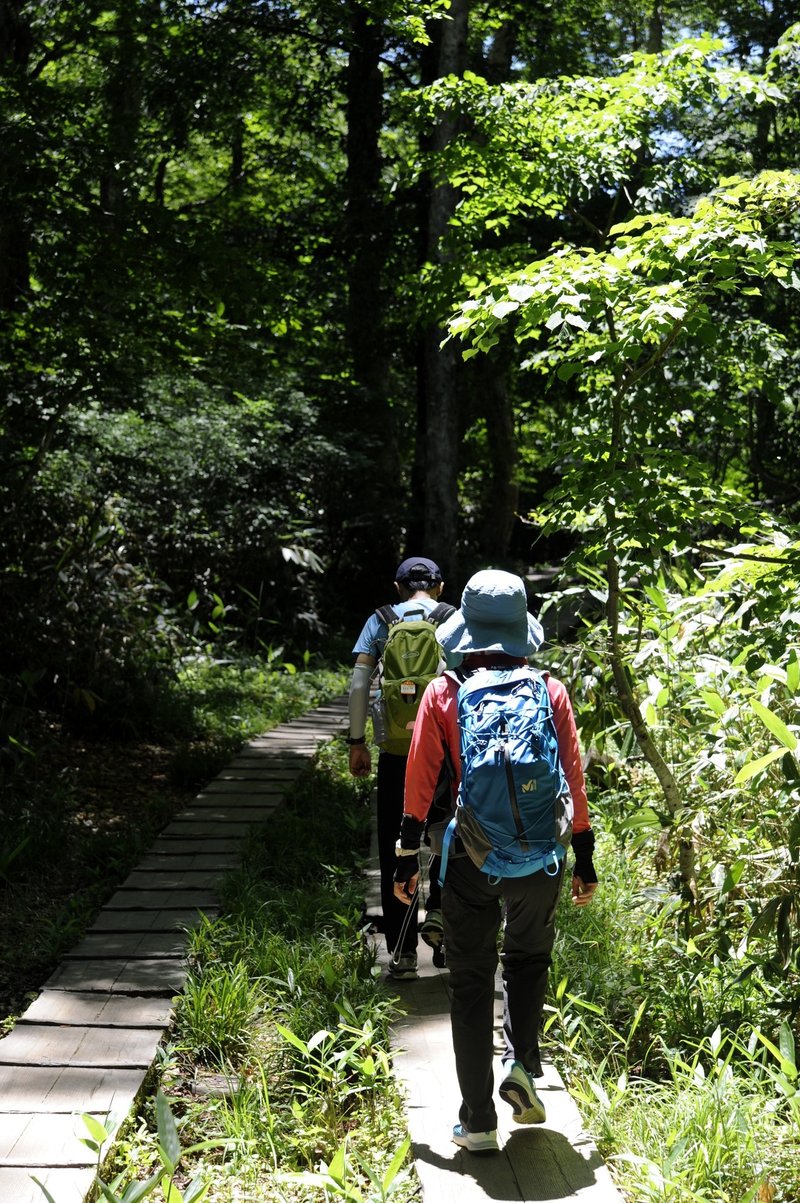 尾瀬は良いとこ一度はおいで 番外編 尾瀬旅行記 サラリーマン海外旅行 Note 尾瀬は良いとこ一度はおいで 番外編 尾瀬旅行記 サラリーマン海外旅行 Note