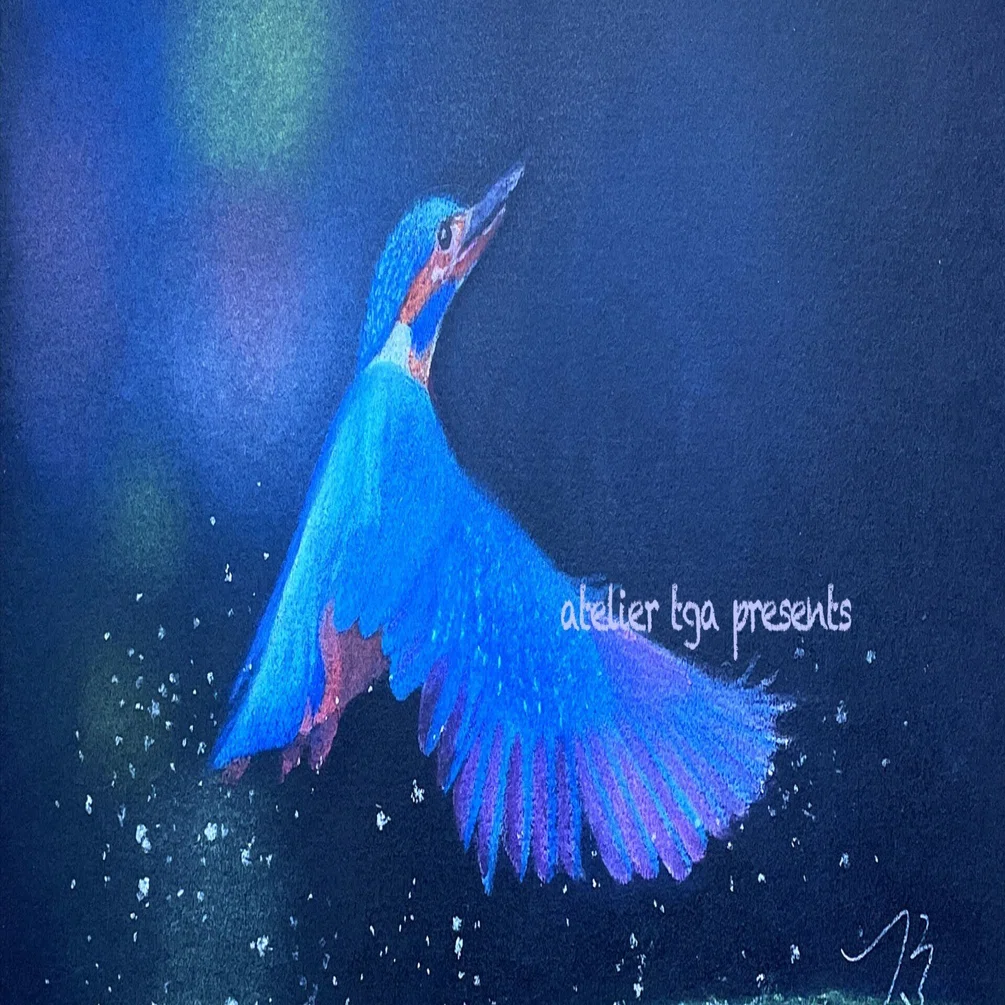 鳥のパステル画 パステル画作品集]鳥にも色々ありまして｜てぃーが Pastel Artist