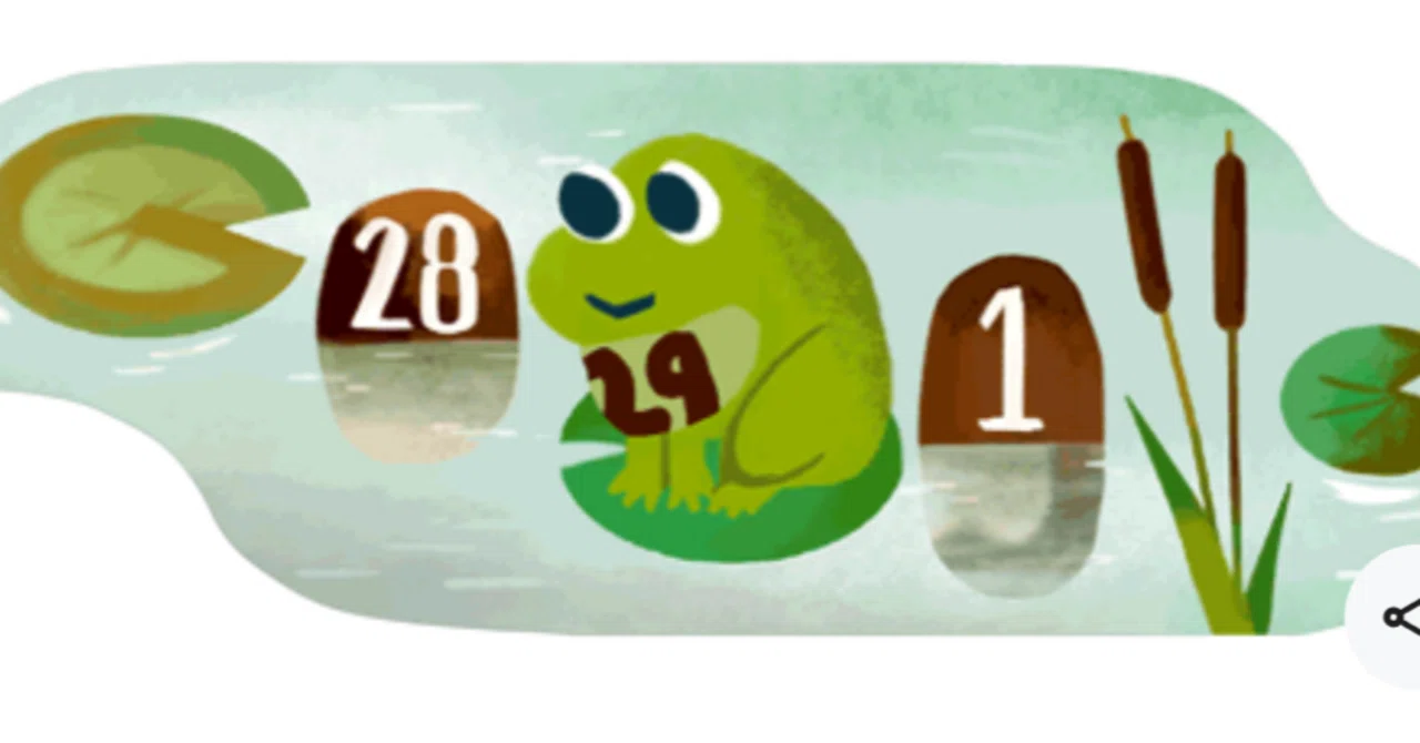 2024年 うるう日 カエル