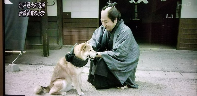 ジュマペール ジェームス 17 テレビ出演する犬 ジュマペール ジェームス 幸せを届けて歩いた犬 Www Facebook Com James Chuchuchu Note ジュマペール ジェームス 17 テレビ出演する犬 ジュマペール ジェームス 幸せを届けて歩いた犬 Www Facebook Com James Chuchuchu Note