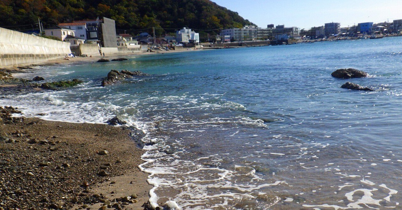 シーグラスと色々な貝殻！三浦半島・真名瀬海岸でビーチコーミング｜ny0l0n