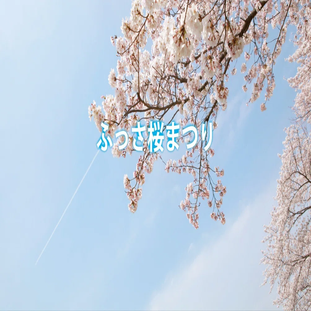 薩摩焼 桜花見図 花活 【公式通販】