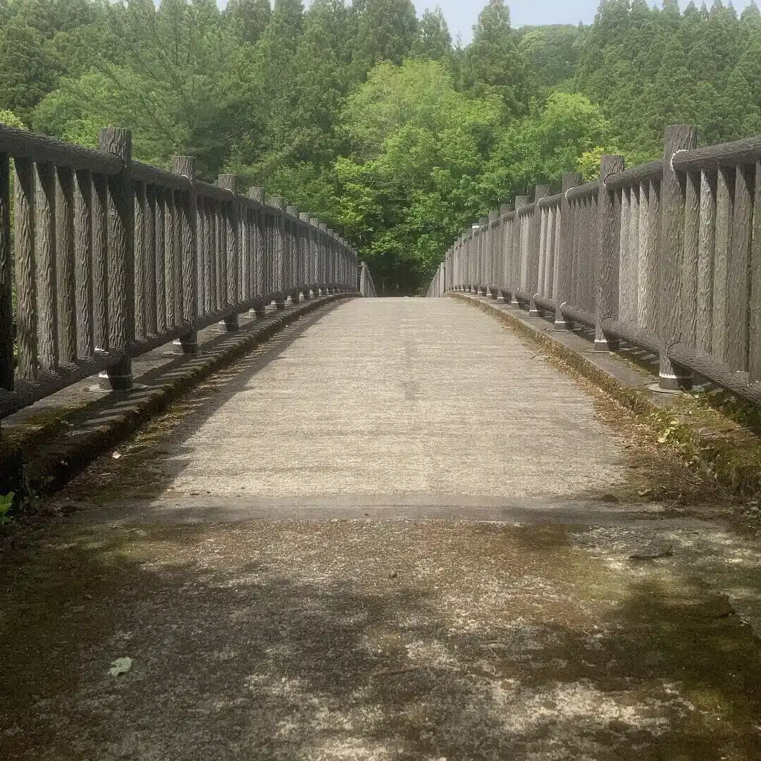 大学生が英会話と写真を始めた話