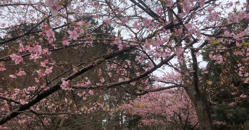 自分の居場所