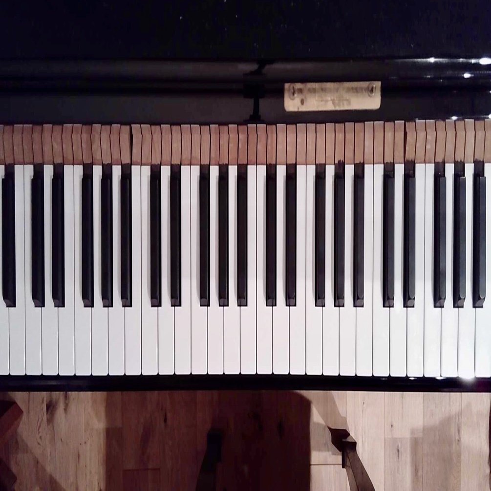 生のピアノの音｜野崎良太 (Jazztronik)
