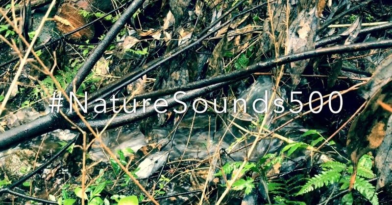 #NatureSounds500 -森の小川サウンド-(21/1000)