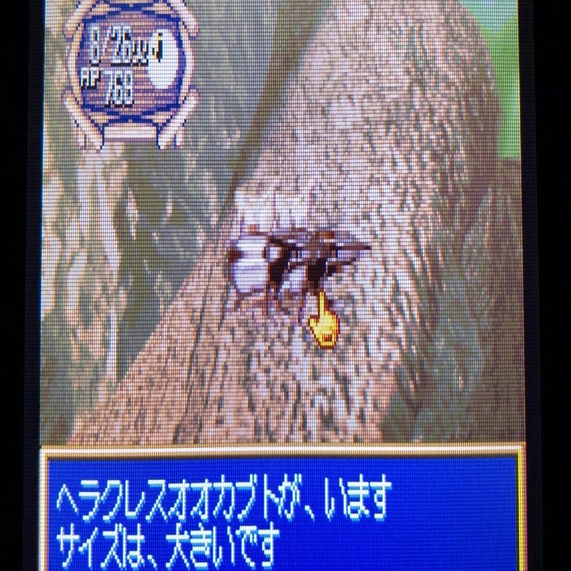 限定即決】ぼくのカブト・クワガタ 箱-取説あり エム・ティー