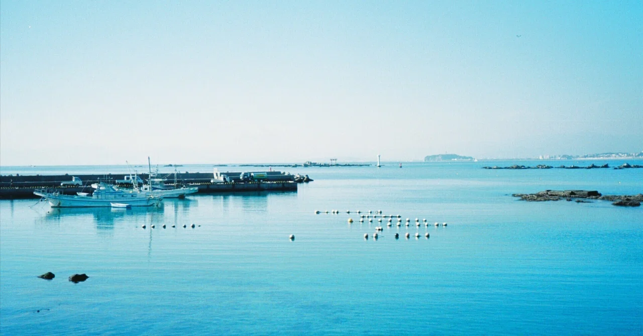 フィルム歩き 葉山の風景 kodak ultramax｜けえる