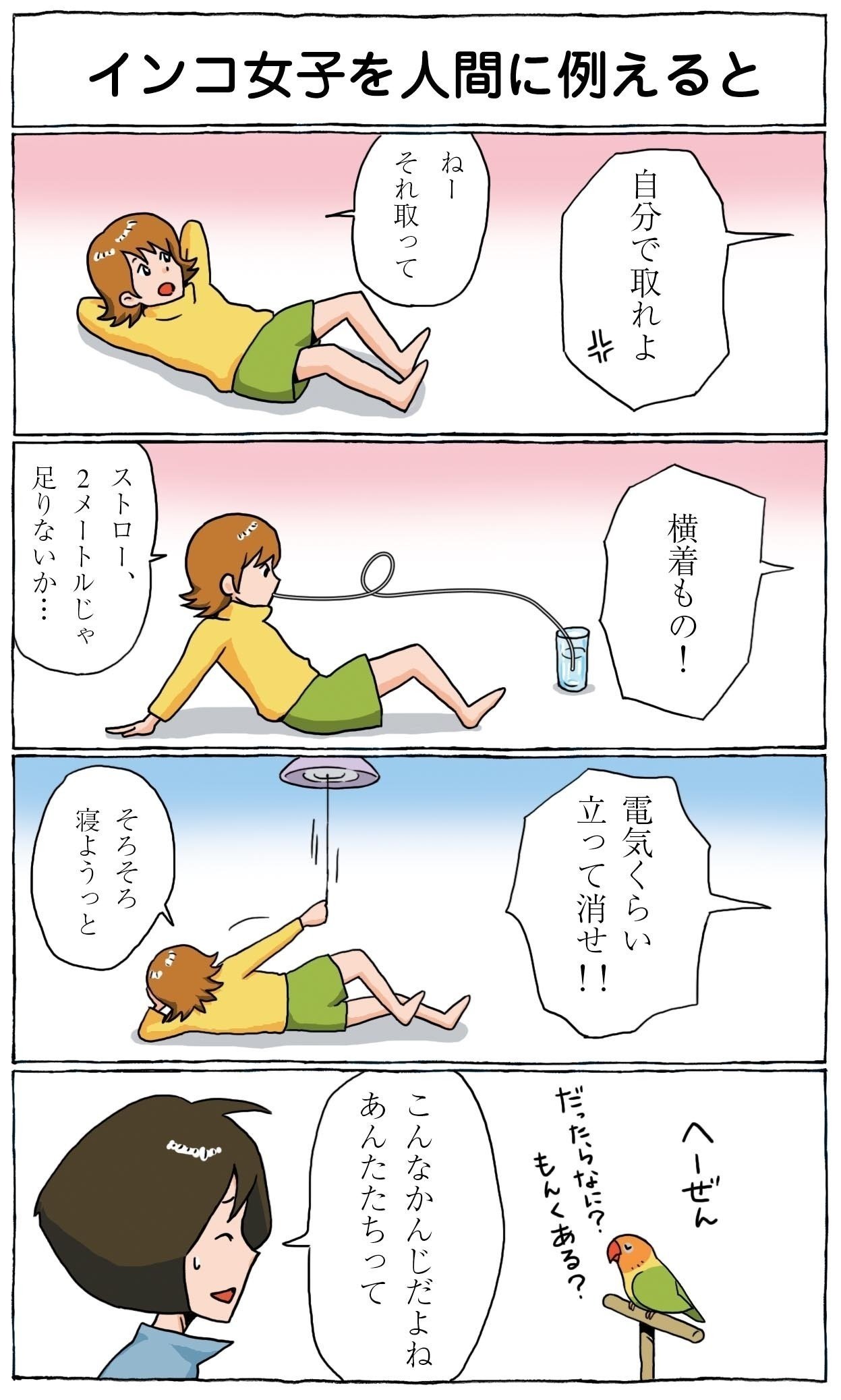 インコ本なんかもたくさん書いていたりするわけですが そこに掲載されるイラストのラフまで とか マンガのネームはだいたい自分で描きます たとえば こんな 細川博昭名義 マンガでわかるインコの気持ち Makito Hasekura Note