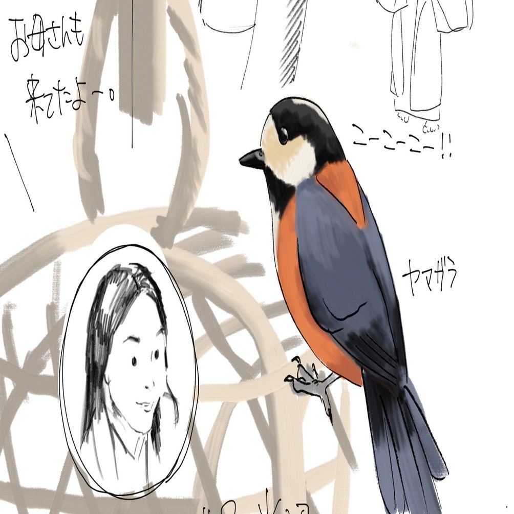 光る君へ8話 こんな道兼に合う鳥の声はもうない｜くますけ｜自然ガイド