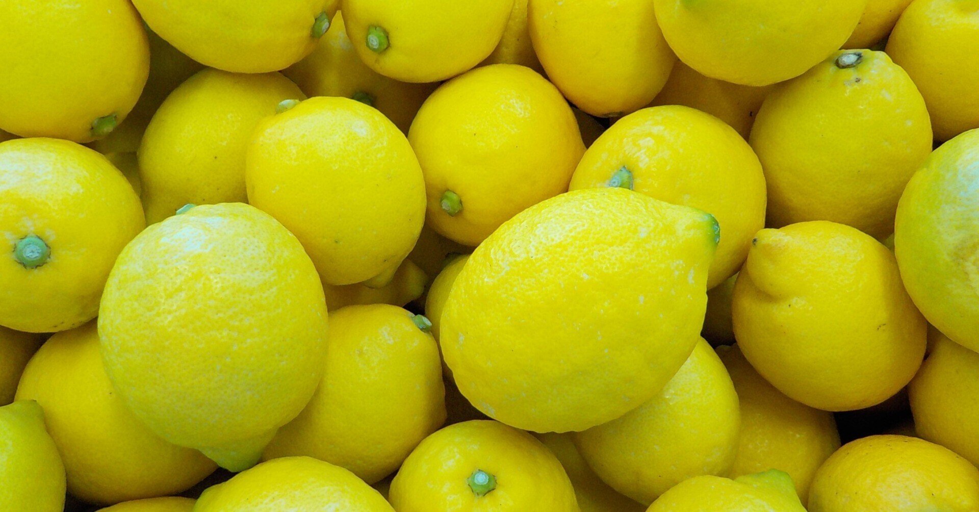 連載】三宅島産レモンを使ってみようシリーズ 第0回「三宅のレモン事情 連載】三宅島産レモンを使ってみようシリーズ 第0回「三宅のレモン事情