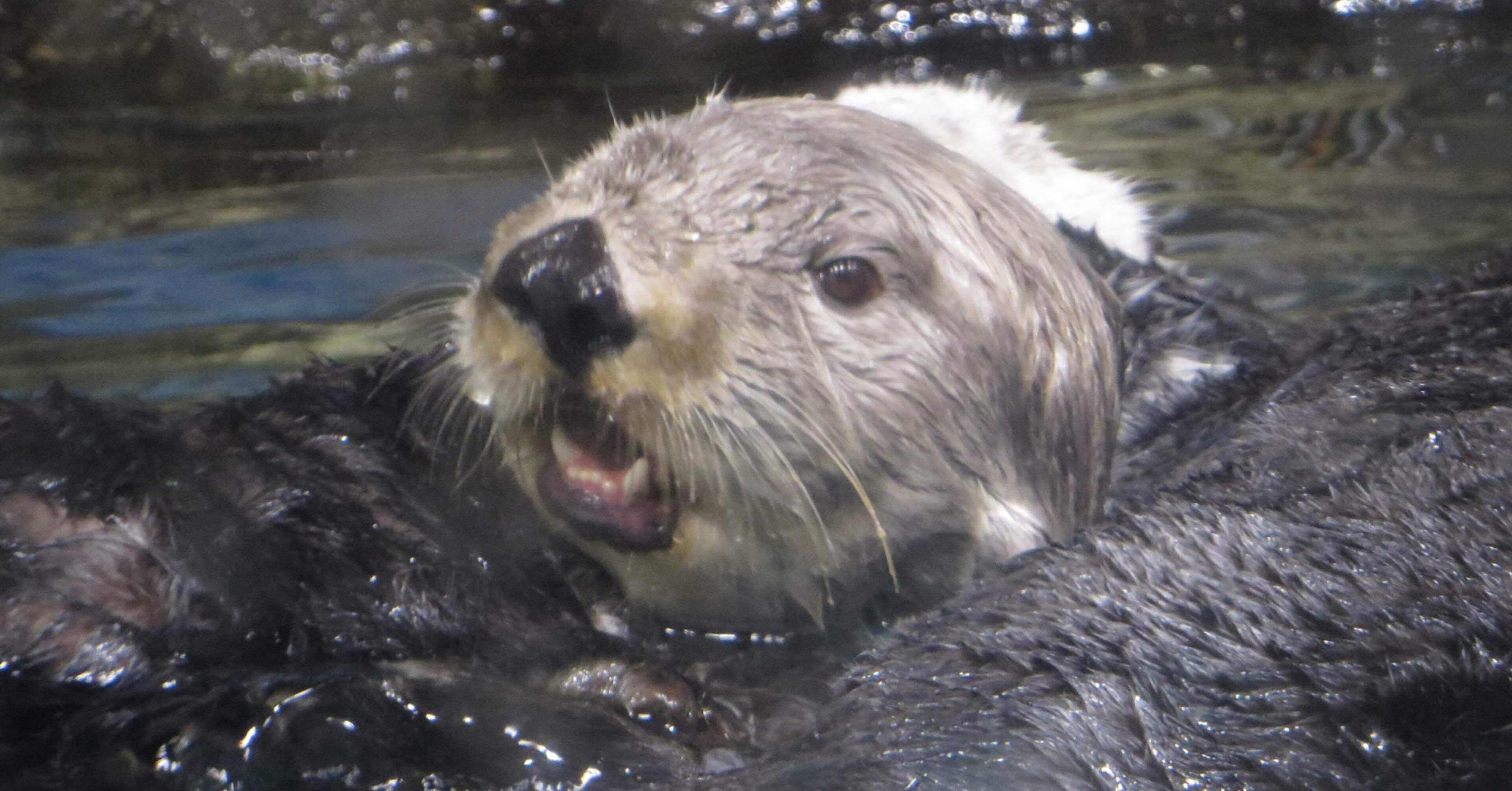 ca3bba5a79e8ae8c9028ef9a674bed