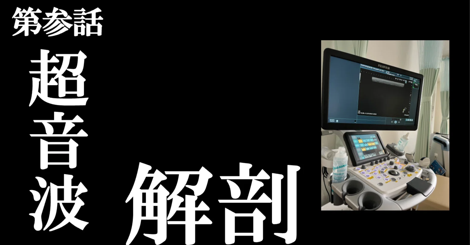 見てわかる「肩の解剖と超音波診断」DVD 購入価格　47250円 超音波解剖追記③｜こばさん（小林由弥）