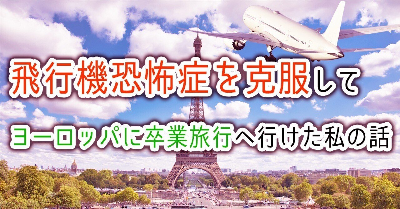 飛行機が苦手なあなたに 飛行恐怖症を克服する本 フライト 旅行 旅客機 海外 飛行機が苦手なあなたに 飛行恐怖症を克服する本 フライト 旅行
