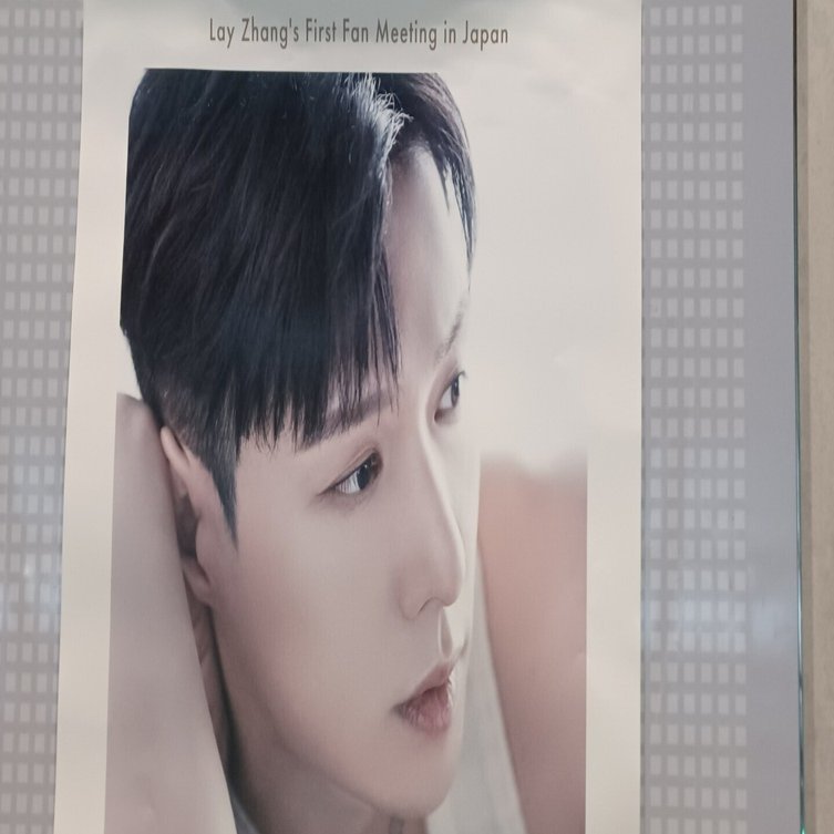 中国アイドル初心者おばさんのLay Zhang（张艺兴）ファンミレポート｜shaun