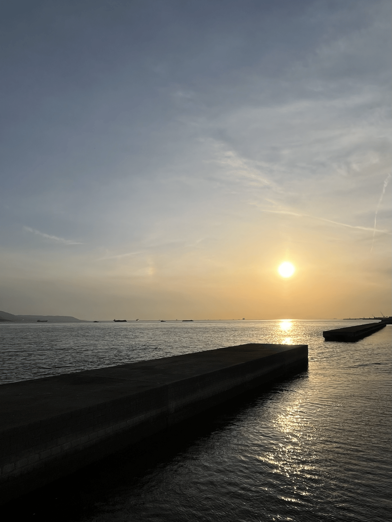 光の道が通ったね ️📷|まるまるの虫 カメさん