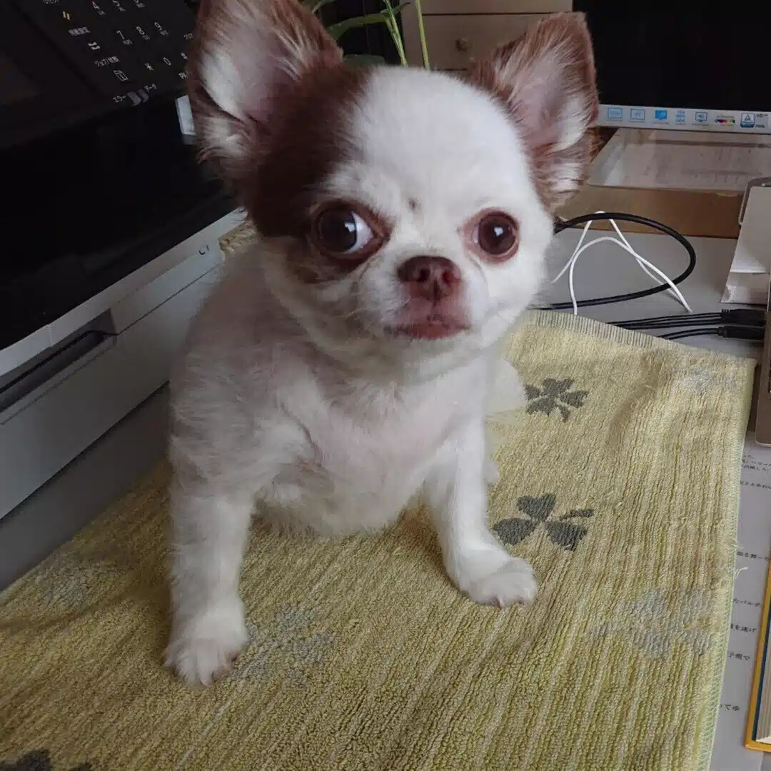 たっちゃん