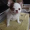 たっちゃん