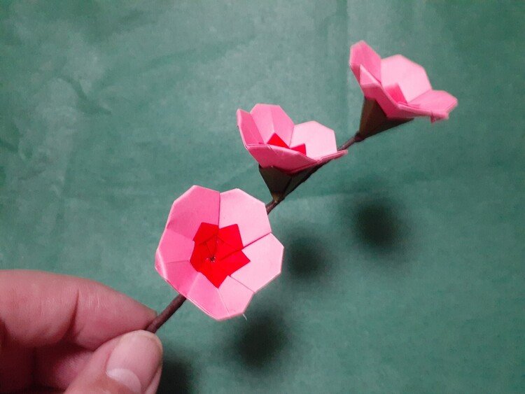 花ひとつに6枚の紙を使用（花びら5枚、がく1枚）。がくの折り方は伝承作品【ベルフラワー】を転用。枝はフローラルワイヤー。
