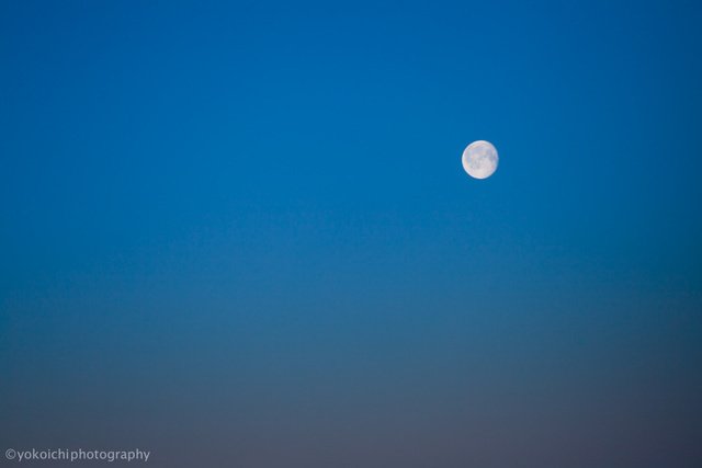 空の上のお月様。