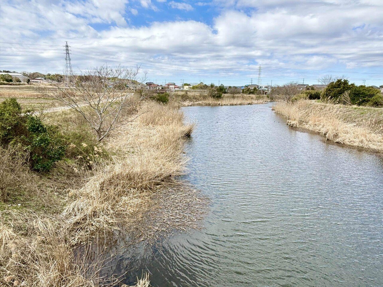 ヘラブナ釣り」の人気タグ記事一覧｜note ――つくる、つながる、とどける。