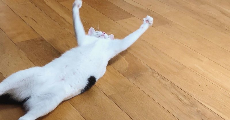 寝るのが好き という人は 本当に 寝ること が好きなのか 田村薫 Note