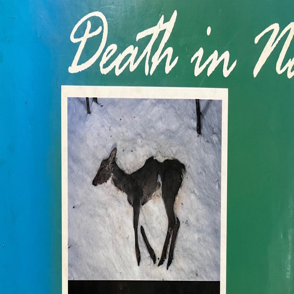 読書】「死」宮崎学｜らら