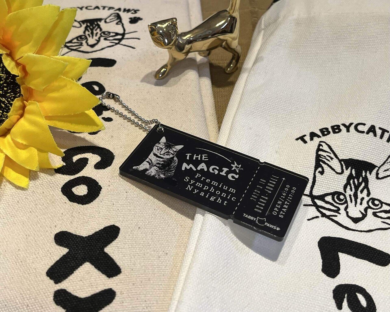 TCP🐾大阪城ホール｜黒柳 能生 公式note