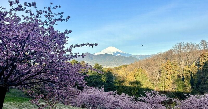 おおいゆめの里2024.3.2［写真展］