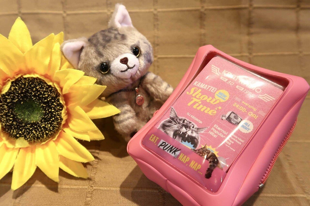 ロックバンドSOPHIA黒柳能生×「すわっちぃZooにゃんこ」がコラボ